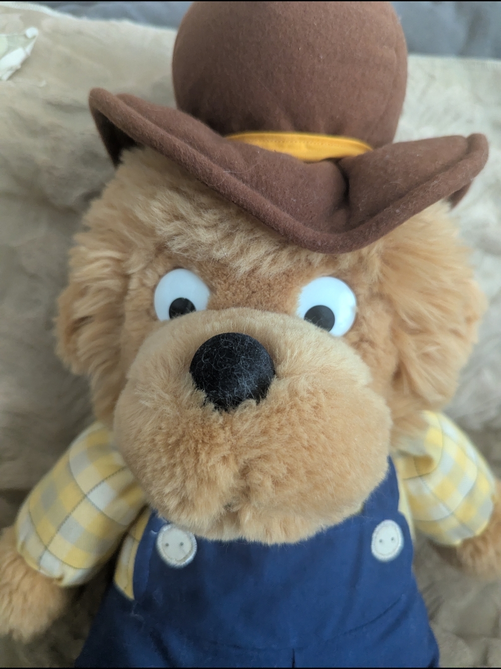Vintage 1998 Berenstain Bears Papa Bear 18" Plush Stuffed Animal Chosun - Picture 2 of 10